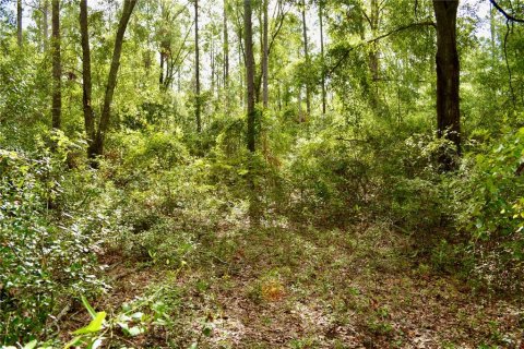 Terreno en venta en White Springs, Florida № 1280442 - foto 13