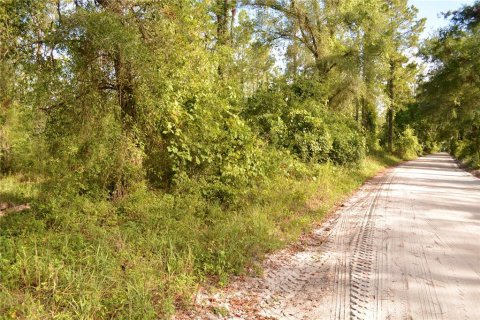 Terrain à vendre à White Springs, Floride № 1280442 - photo 30