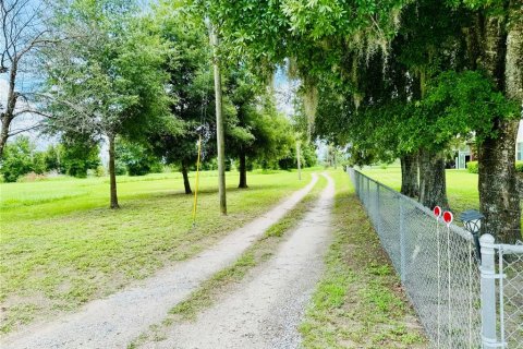 Land in Zephyrhills, Florida № 1267959 - photo 4