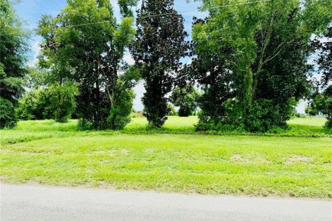 Land in Zephyrhills, Florida № 1267959 - photo 2