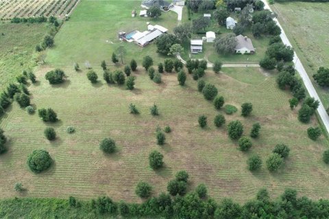 Land in Zephyrhills, Florida № 1267959 - photo 11