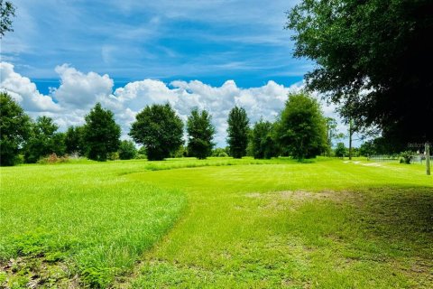 Land in Zephyrhills, Florida № 1267959 - photo 3