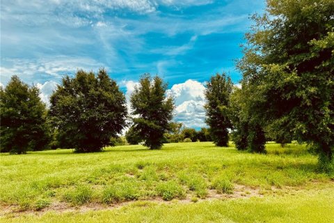 Land in Zephyrhills, Florida № 1267959 - photo 6