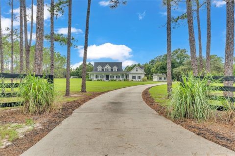 Villa ou maison à vendre à Thonotosassa, Floride: 5 chambres, 425.96 m2 № 1314088 - photo 2