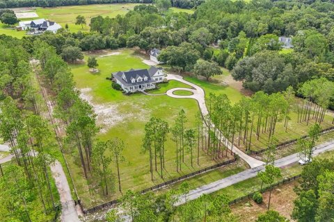 Villa ou maison à vendre à Thonotosassa, Floride: 5 chambres, 425.96 m2 № 1314088 - photo 4