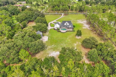 Villa ou maison à vendre à Thonotosassa, Floride: 5 chambres, 425.96 m2 № 1314088 - photo 6