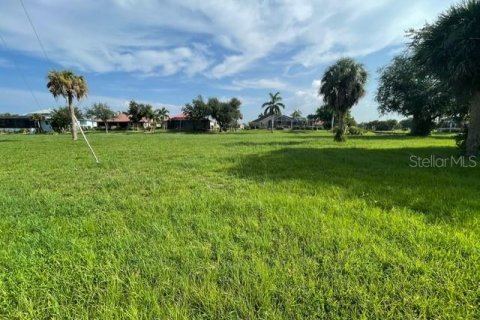 Terrain à vendre à Punta Gorda, Floride № 1250759 - photo 6