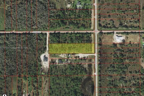 Купить земельный участок в Нейплс, Флорида № 1141873 - фото 1