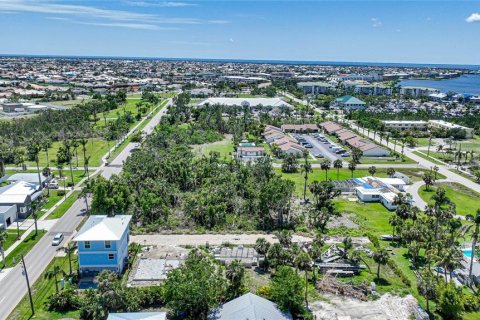 Villa ou maison à vendre à Punta Gorda, Floride: 3 chambres, 215.16 m2 № 484788 - photo 9