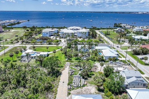 Villa ou maison à vendre à Punta Gorda, Floride: 3 chambres, 215.16 m2 № 484788 - photo 3