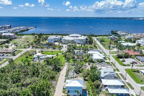 Villa ou maison à vendre à Punta Gorda, Floride: 3 chambres, 215.16 m2 № 484789 - photo 8