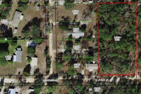 Terreno en venta en Homosassa, Florida № 1349181 - foto 1