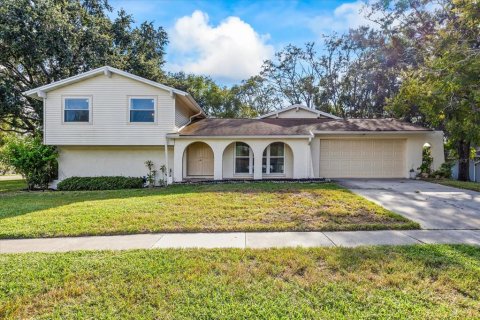 Villa ou maison à vendre à Lutz, Floride: 5 chambres, 203.64 m2 № 1388659 - photo 1