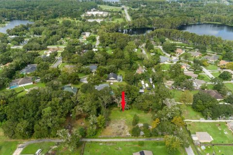 Land in Lutz, Florida № 1384927 - photo 23