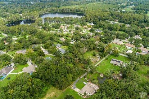 Land in Lutz, Florida № 1384927 - photo 26