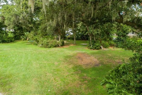 Land in Lutz, Florida № 1384927 - photo 8