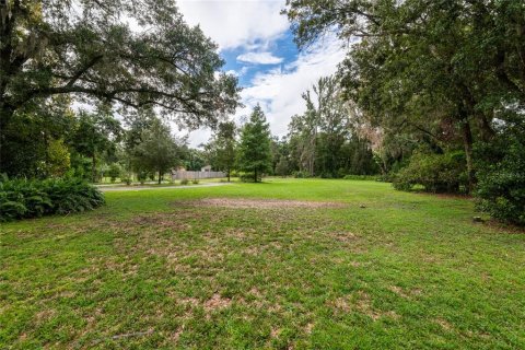 Land in Lutz, Florida № 1384927 - photo 21