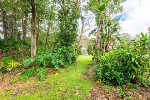 Land in Lutz, Florida № 1384927 - photo 14