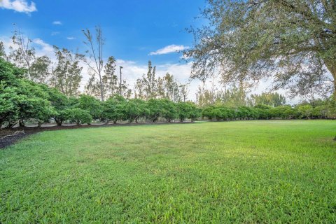 Terrain à vendre à Davie, Floride № 860598 - photo 2