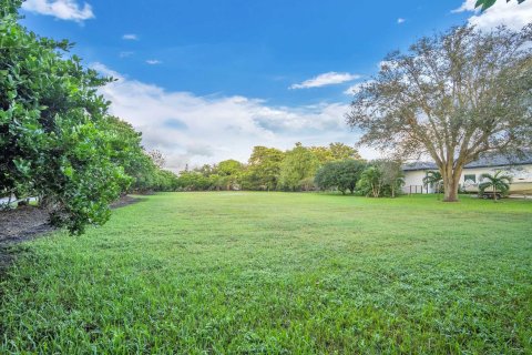 Купить земельный участок в Дейви, Флорида № 860598 - фото 4