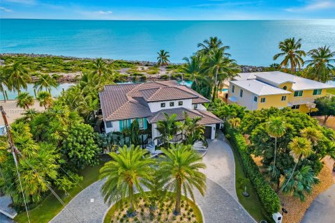 Villa ou maison à vendre à Marathon, Floride: 4 chambres, 306.95 m2 № 912639 - photo 6