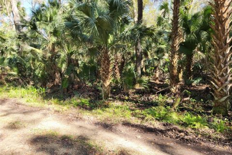 Terrain à vendre à Deltona, Floride № 265612 - photo 1