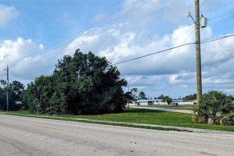 Land in Punta Gorda, Florida № 791529 - photo 2