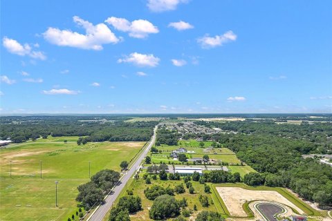 Land in Apopka, Florida № 1339707 - photo 6