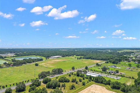 Land in Apopka, Florida № 1339707 - photo 7