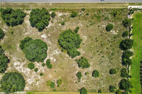 Land in Apopka, Florida № 1339707 - photo 10