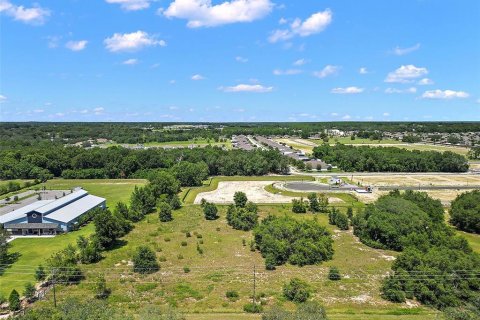 Land in Apopka, Florida № 1339707 - photo 11