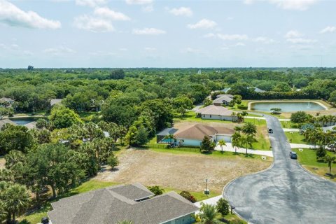 Land in Vero Beach, Florida № 1283461 - photo 9