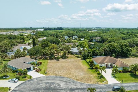 Land in Vero Beach, Florida № 1283461 - photo 6