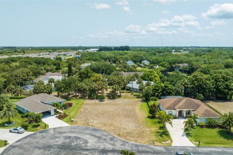 Land in Vero Beach, Florida № 1283461 - photo 5