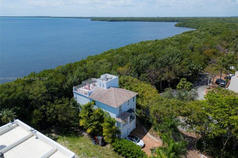Villa ou maison à vendre à Palmetto Bay, Floride: 4 chambres, 294.22 m2 № 1077623 - photo 11