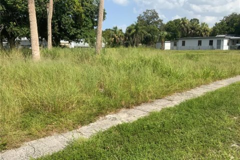 Купить земельный участок в Сент-Луси, Флорида № 666112 - фото 4