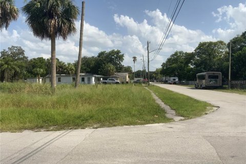 Купить земельный участок в Сент-Луси, Флорида № 666112 - фото 3