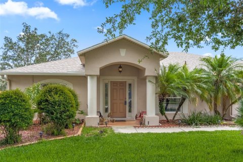 Villa ou maison à vendre à Deltona, Floride: 3 chambres, 187.66 m2 № 1262482 - photo 2