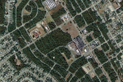 Land in Ocala, Florida № 1091147 - photo 23