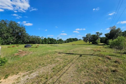 Terrain à vendre à Dade City, Floride № 1126453 - photo 2