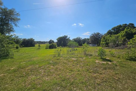 Terrain à vendre à Dade City, Floride № 1126453 - photo 3