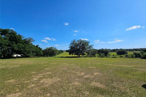 Terrain à vendre à Dade City, Floride № 1126453 - photo 1