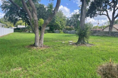 Terreno en venta en Orlando, Florida № 1306595 - foto 3