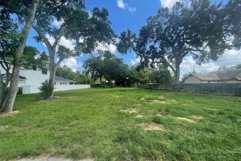 Terreno en venta en Orlando, Florida № 1306595 - foto 2