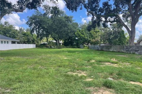 Terreno en venta en Orlando, Florida № 1306595 - foto 1