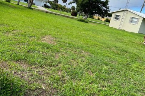 Terreno en venta en Punta Gorda, Florida № 1274314 - foto 5