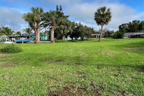 Terreno en venta en Punta Gorda, Florida № 1274314 - foto 4