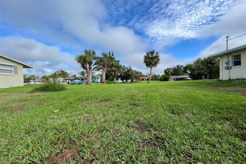 Terrain à vendre à Punta Gorda, Floride № 1274314 - photo 6