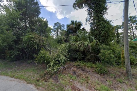 Land in Palm Coast, Florida № 1142781 - photo 2