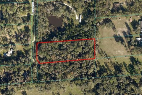 Land in Reddick, Florida № 1357568 - photo 1